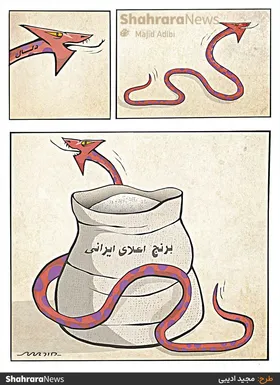 کارتون | دلال&zwnj;ها عامل گرانی برنج
