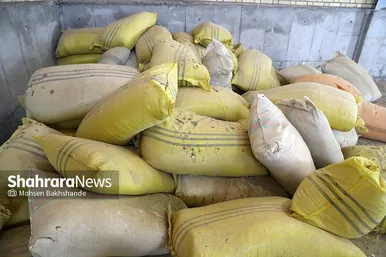 معدوم سازی چهار تن ناس و تنباکو در مشهد