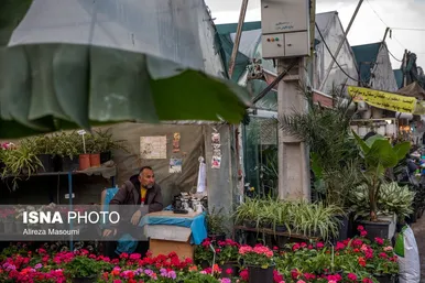بازار گل محلاتی تهران در آستانه سال نو