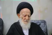 آیت‌الله کعبی: سبک علمی و اخلاقی آیت‌الله شبیری زنجانی در حوزه‌های علمیه ماندگار است