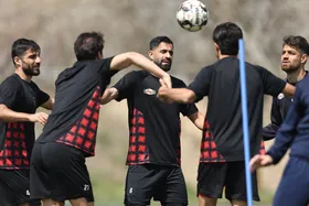 پرسپولیس برای جذب بازیکن اقدام کرد