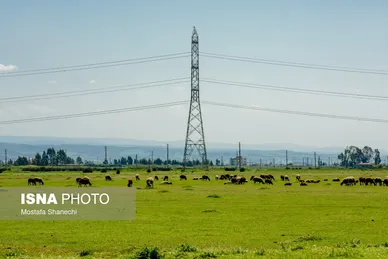 پتروشیمی میانکاله از نگاه دوربین