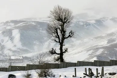 ایران زیباست | طبیعت برفی روستای «زندانه»