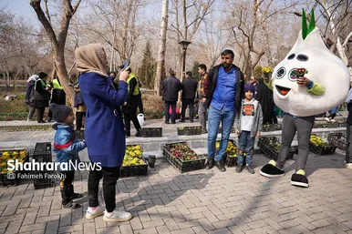 کاشت گل‌های بهاری توسط دانش آموزان در مشهد