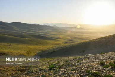 کوه؛ بهار، ریواس