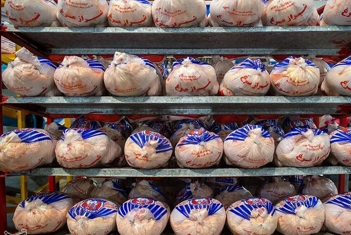 بررسی قیمت امروز مرغ و گوشت در مشهد | ران مرغ کیلویی ۱۰۰ هزار تومان شد (۳ آبان ۱۴۰۴)
