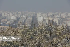 آلودگی هوا به ازای هر سفر با خودروی شخصی، ۱۰ برابر همان سفر با اتوبوس است&nbsp;