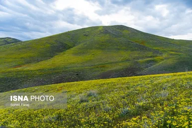 ایران زیباست | طبیعت هزار رنگ جلگه ارومیه