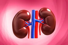 مشکلات لگن و بی&zwnj;اختیاری ادرار در زنان بالای ۴۰ سال بیشتر است