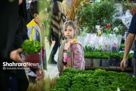 حال و هوای بازار گل مشهد در آستانه عید