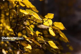 پیش&zwnj;بینی هواشناسی مشهد و خراسان رضوی امروز (چهارشنبه، ۲۲ مهر ۱۴۰۵) | افزایش ۲ الی ۳ درجه&zwnj;ای دما در استان