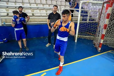 سی و یکمین دوره مسابقات بوکس قهرمانی جوانان کشور