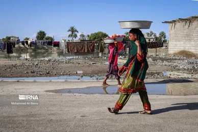 واکسیناسیون دام در مناطق سیل زده