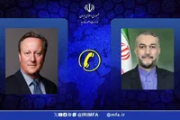 امیرعبداللهیان و دیوید کامرون درباره تحولات دریای سرخ گفت‌وگو کردند
