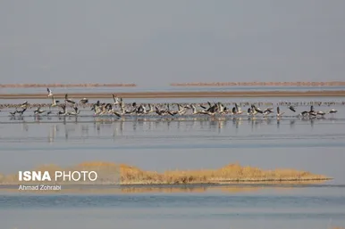 ایرانِ زیبا | طبیعت گردشگری قم