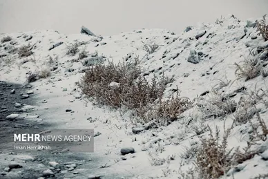 بارش اولین برف پاییزی در همدان (۲۹ آبان ۱۴۰۲)