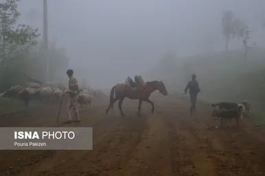 ایران زیباست | طبیعت بهاری «سیاهکل»