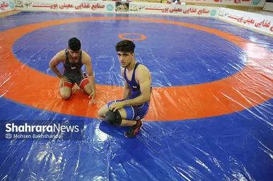 مسابقات کشتی گروه چهارم لیگ دسته یک کشور