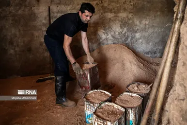 عکس‌هایی از مراحل دودی کردن ماهی