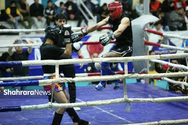 گزارش تصویری | برگزاری رقابت‌های MMA |  جام رمضان