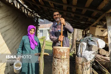 نوروزگردی | زندگی روستایی در لفور سوادکوه