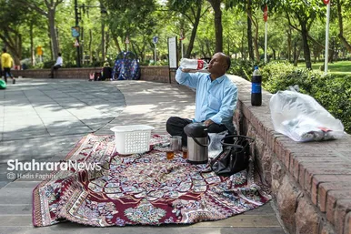 گرمای هوا در مشهد