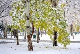 مدارس کدکن خراسان رضوی امروز تعطیل شد (۱۷ دی ۱۴۰۲)