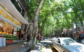کسب عنوان برتر انجام تعهد اشتغال برای طرقبه شاندیز