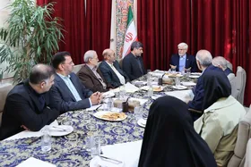 عارف: خودسوزی یک جوان مسئله شخصی نیست، بحران اجتماعی است