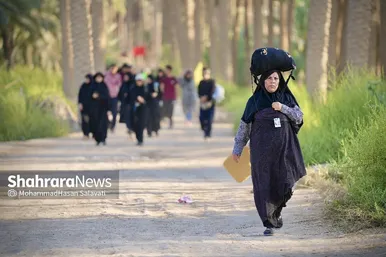 عکس| زائران پیاده در مسیر کربلا