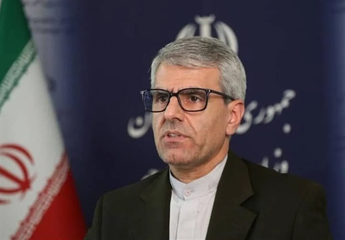 بقائی: قطعنامه جدید شورای حکام حتما با واکنش ایران مواجه می‌شود