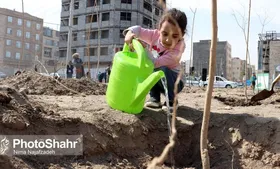 راه&zwnj;اندازی ۶۰۵ پویش مردمی برای کاشت درخت در خراسان رضوی