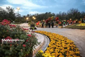 کاشت بیش از ۲۰۵ هزار گل پاییزی در مشهد برای جشنواره &laquo;طعم و رنگ پاییز ۱۴۰۴&raquo;