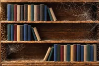 مرگ پایان نامه ها در قفسه کتابخانه ها بدون حل مشکلی از جامعه