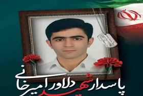 عاشقی که شهادتنامه&zwnj;اش را از امام رضا(ع) گرفت
