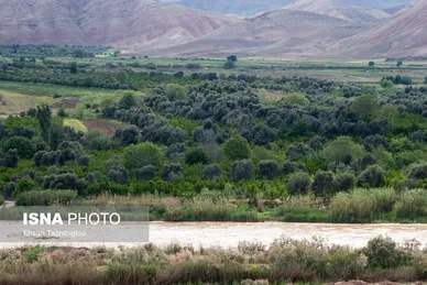 ایران زیباست | طبیعت بهاری «طارُم»، هندوستان ایران