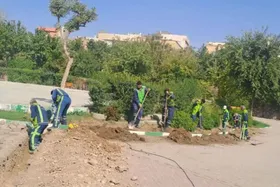 ارتقای روشنایی و افزایش ایمنی در بوستان شهربانو حجاب