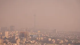 سلامت دانشجویان فدای مصلحت&zwnj;اندیشی&zwnj; نشود