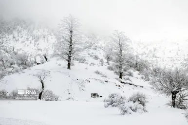 ایران زیباست | گلستان برفی