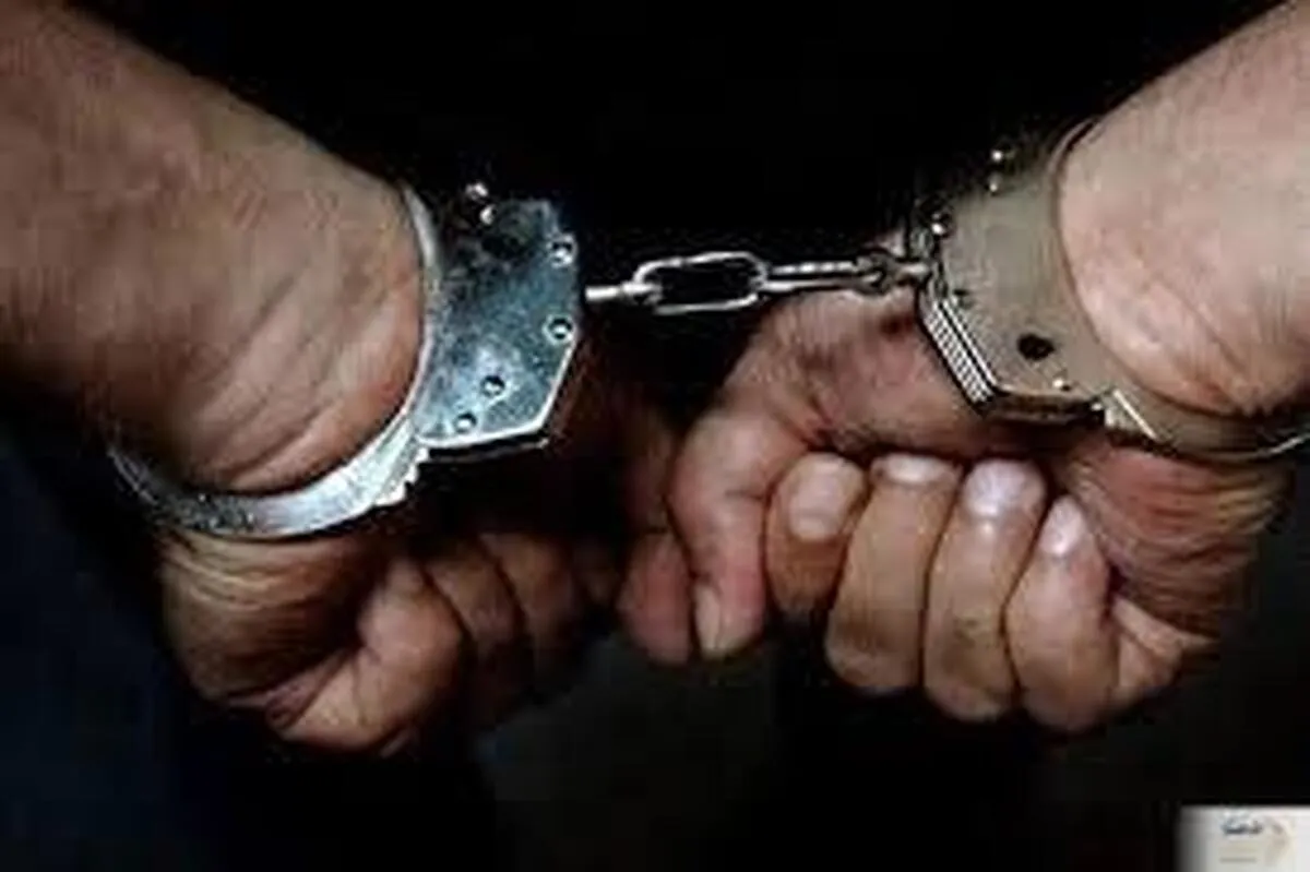 ۲ شرور به اتهام درگیری دسته‌جمعی در تهران دستگیر شدند (۲۶ تیر ۱۴۰۴)