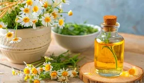 بابونه، گیاهی دارویی مناسب برای رفع بیماری&zwnj;های زنانه