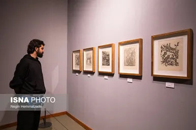 پابلو پیکاسو در تهران