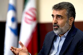 کمالوندی: ذخایر اورانیوم ۲۰ درصدی به ۱۷ کیلوگرم افزایش یافته است
