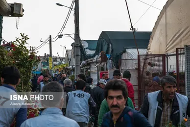 بازار گل محلاتی تهران در آستانه سال نو