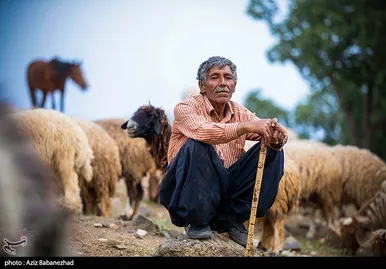 عبور عشایر از خرم آباد