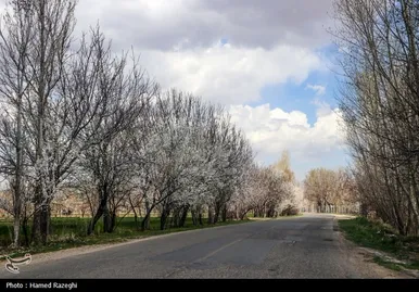 ایران زیباست | طبیعت بهاری ابهر