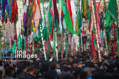 محرم ۱۴۰۴ | عکس‌هایی از آیین سنتی «عَلَم پیغمبر» در میناب