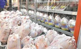 ۶۰ تُن مرغ تنظیم بازار روزانه در مشهد توزیع می&zwnj;شود