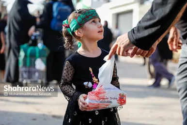 گزارش تصویری | زائران پیاده اربعین در طریق العلماء