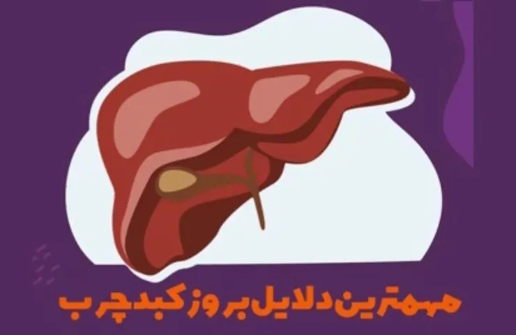 موشن گرافی | مهم‌ترین دلایل بروز کبد چرب